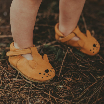 Spark Classic Shoes | Lion | Caramel Nubuck