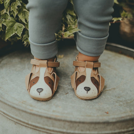 Spark Special Shoes | Saint Bernard | Truffle Nubuck