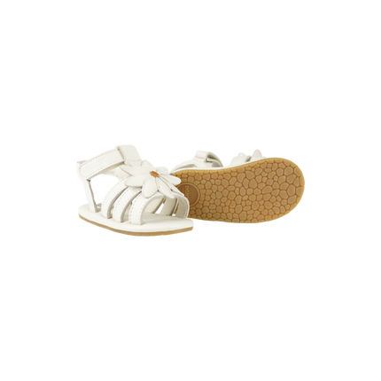 Tuti Fields Sandals | Daisy | Off White Leather