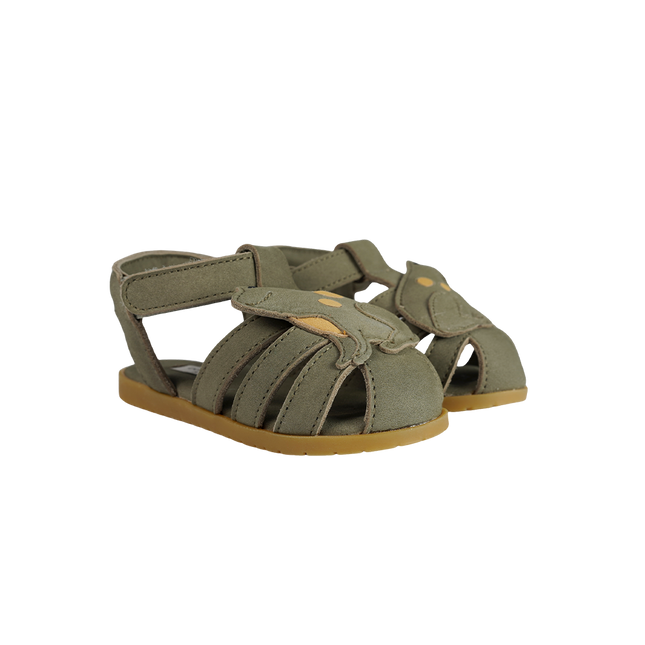 Damio Sandals | Frog | Stone Nubuck