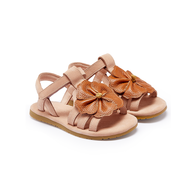 Iles Fields Sandals | Hibiscus | Coral Betting Leather