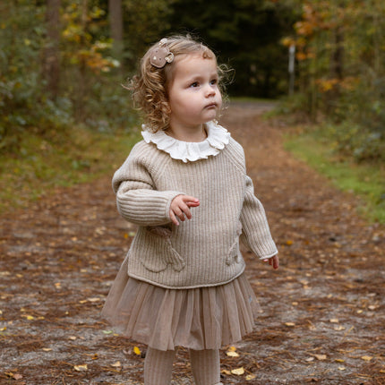 Pawien Merino Wool Sweater | Biscotti Melange
