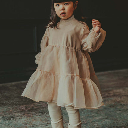 Valentien Dress | Misty Rose
