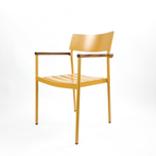 Earth Yellow
