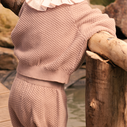 Seloen Shorts | Plum
