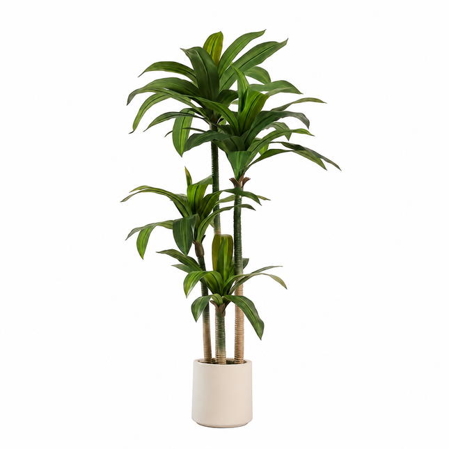Realistische kunstplant Dracaena van 180 cm hoog met groene bladeren, meerdere stammen en beige plantenpot op witte achtergrond.