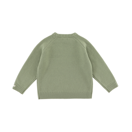 Fionn Merino Wool Sweater Desert Green | Kindertrui