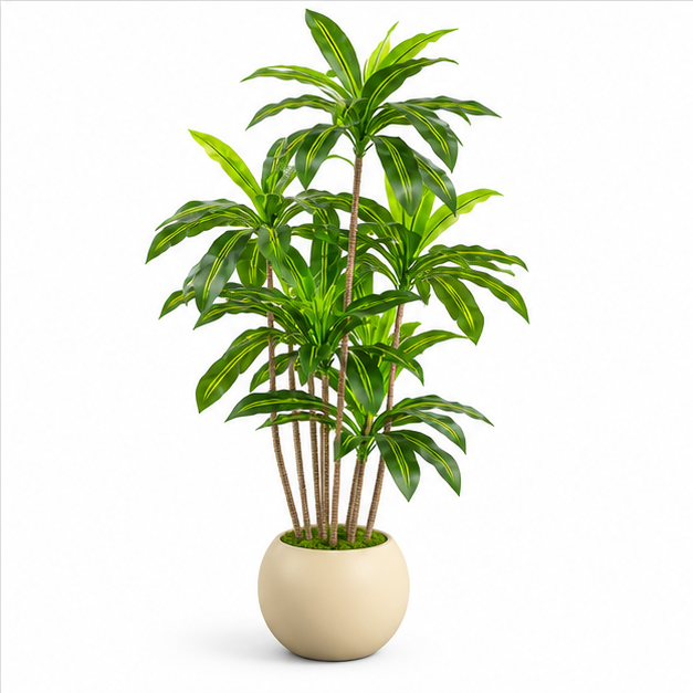 Dracaena Kunstplant 180 cm - Tropische sfeer
