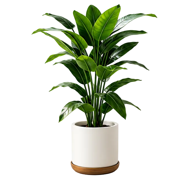 Realistische kunst bananenplant van 100 cm met grote groene tropische bladeren in witte sierpot, vooraanzicht op witte achtergrond.
